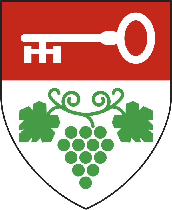 Logo webu